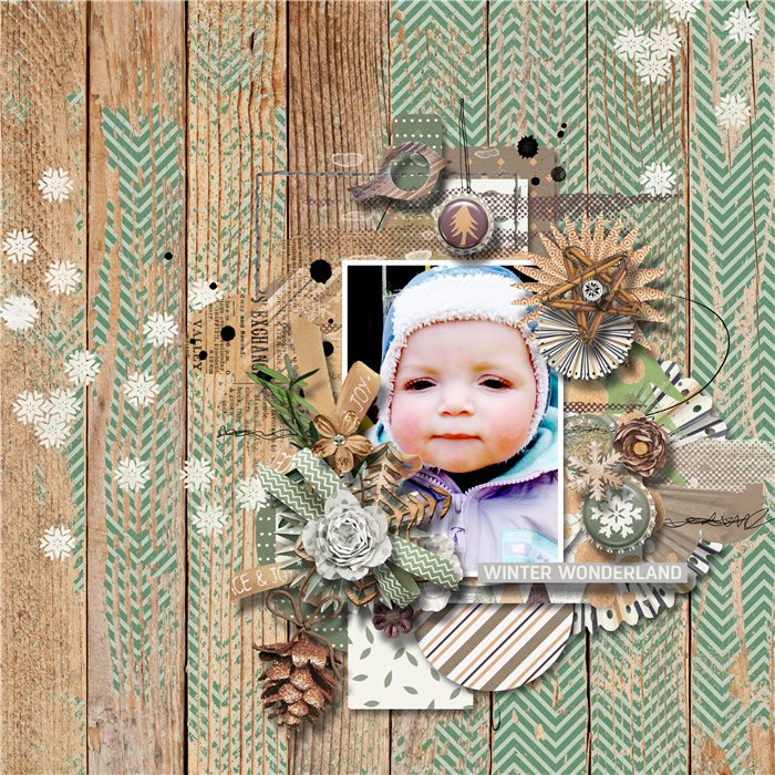 Winter woodland
