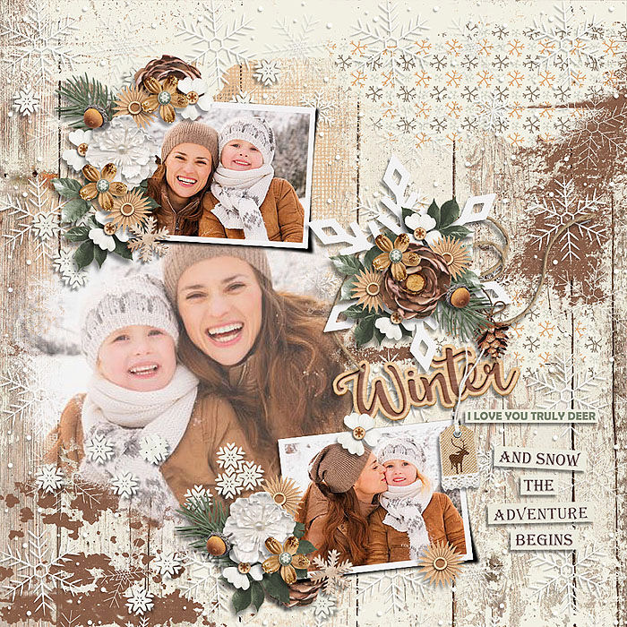 Winter Woodland
