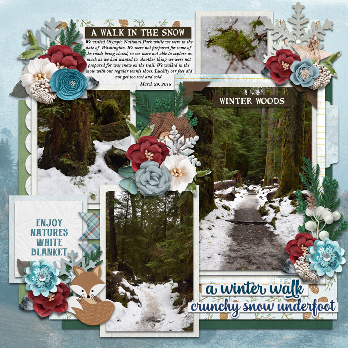 winter woods walk