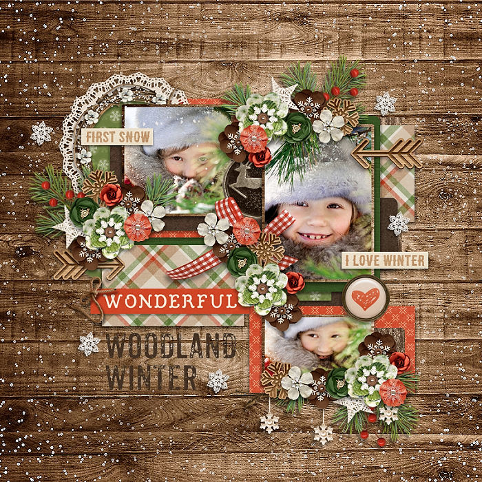 Winter Woods