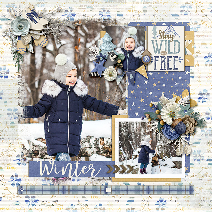 Winter woods