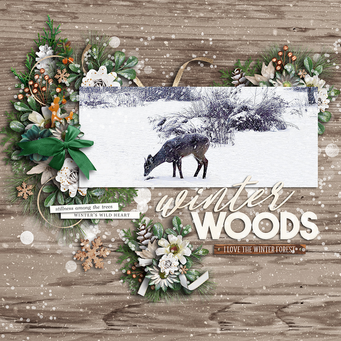 Winter Woods