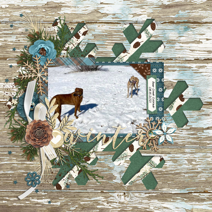 winter