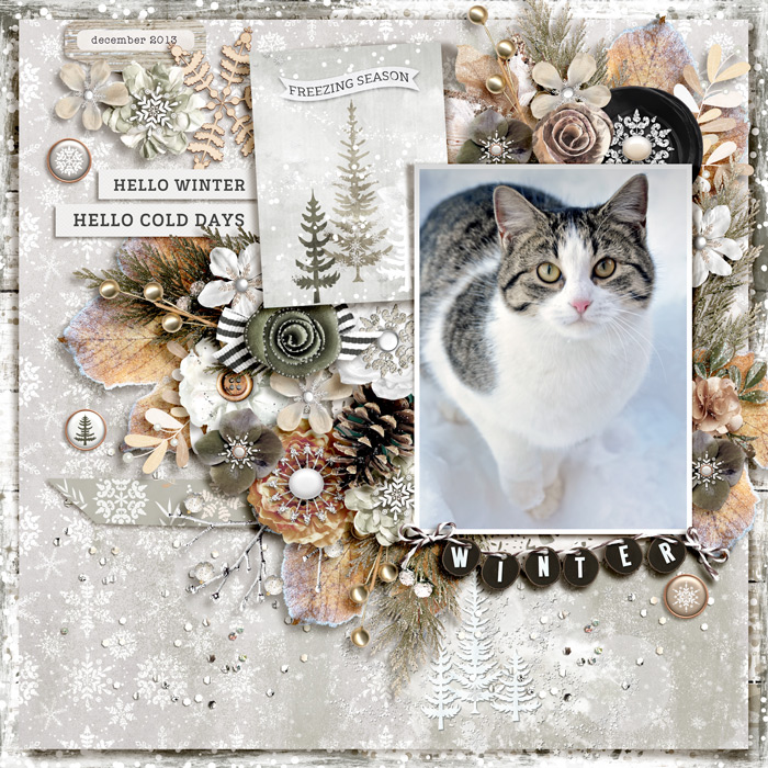 winter