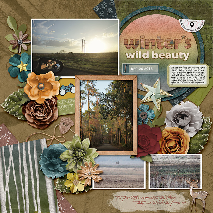 winter's wild beauty