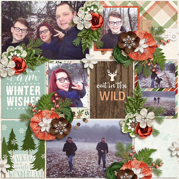 Winterwalk2-small