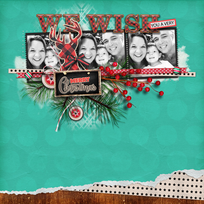 WISH YOU A MERRY CHRISTMAS