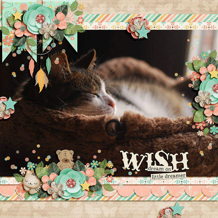 Wish