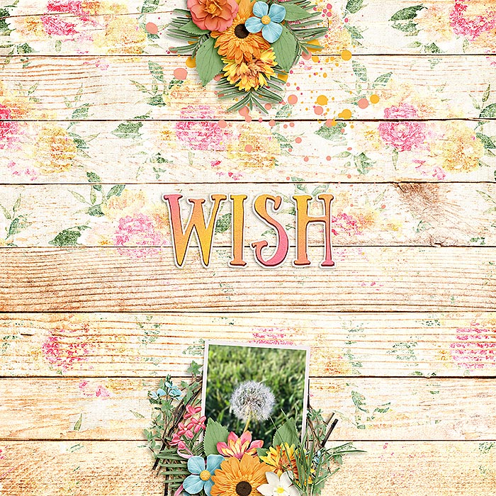 Wish
