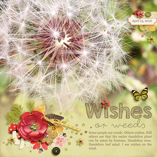 Wishes or Weeds