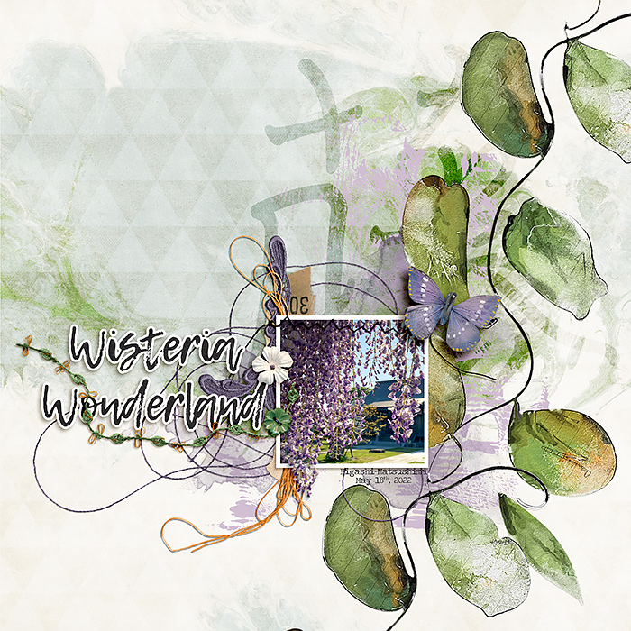 Wisteria Wonderland