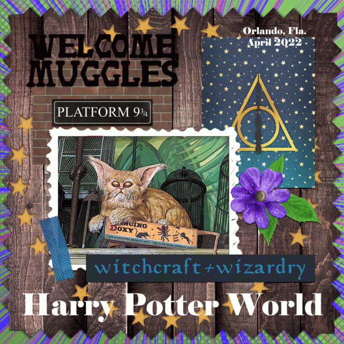 Wizarding World