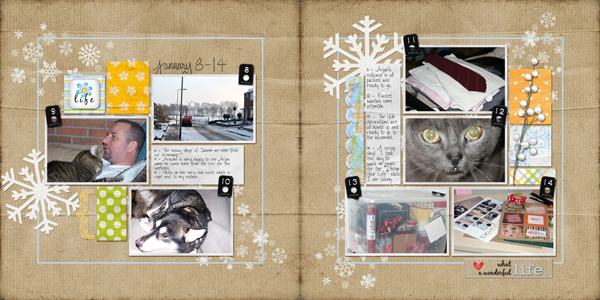Wolfie's Wk 2