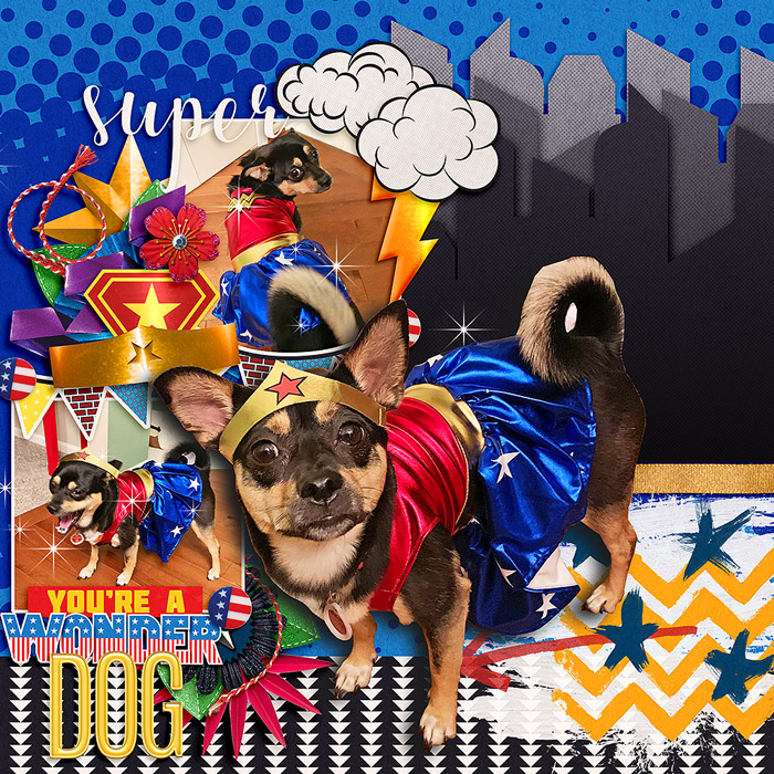 Wonder Dog