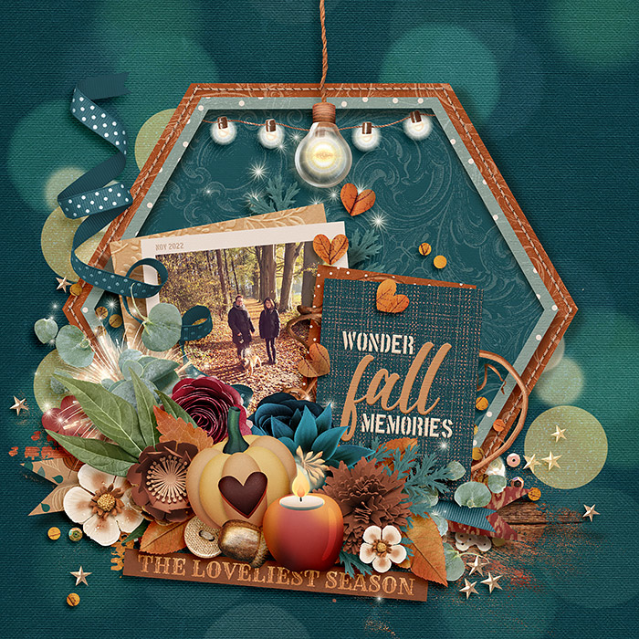 Wonder Fall memories