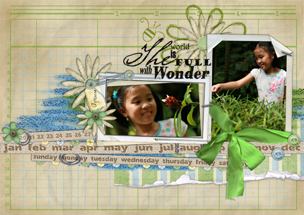 Wonder