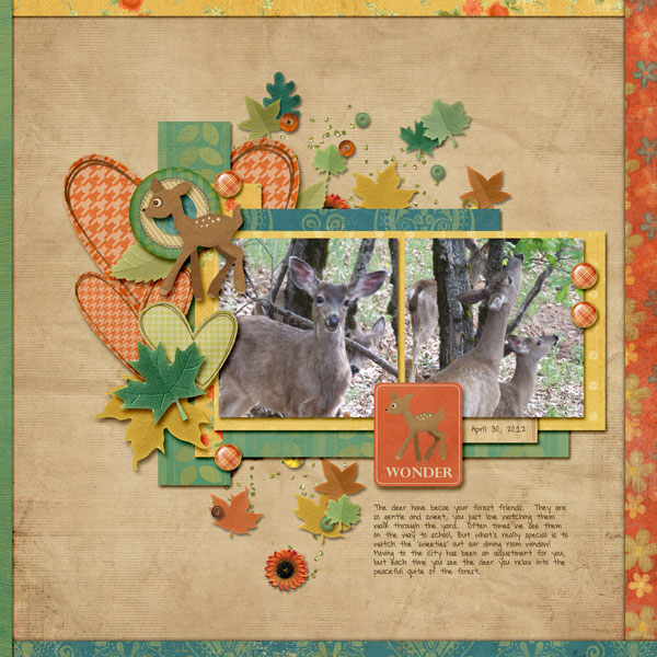 Wonder