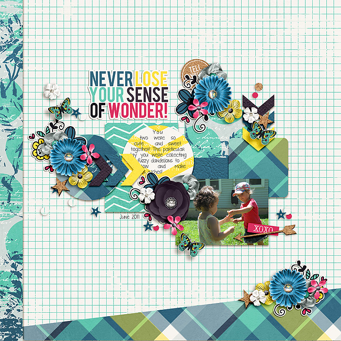 Wonder