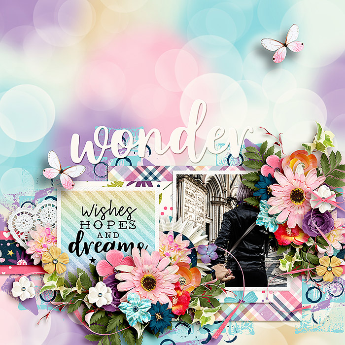 Wonder