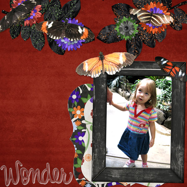 wonder