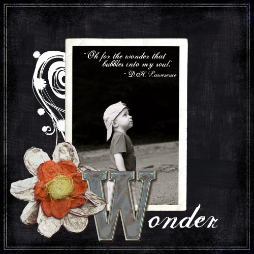 Wonder
