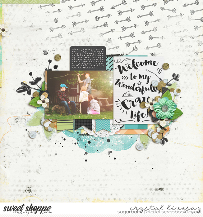 Wonderful Crazy Life