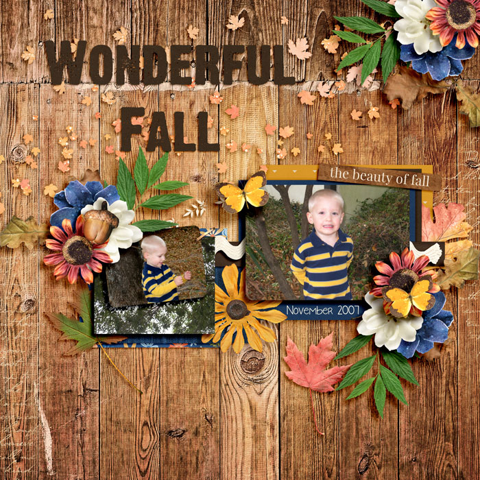 Wonderful Fall November 2007