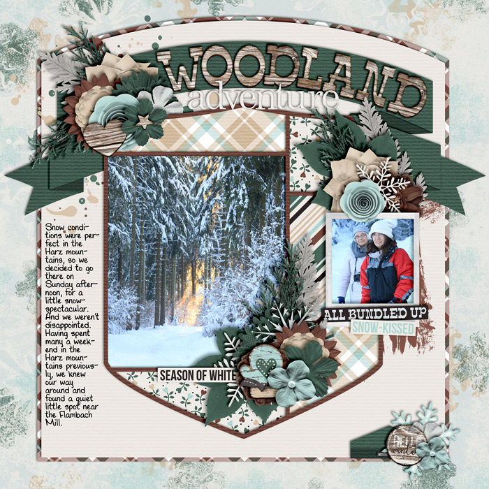 Woodland Adventure