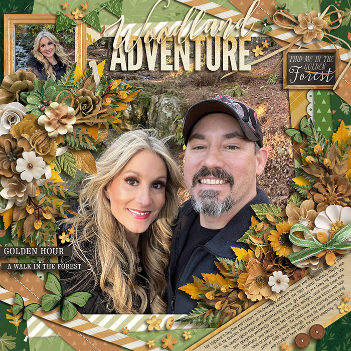 Woodland Adventure