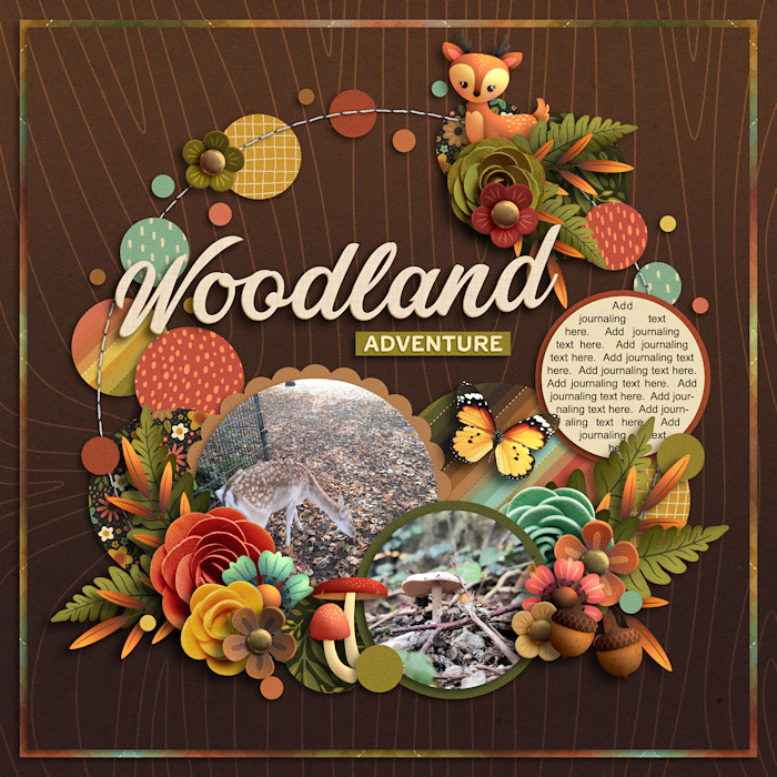 Woodland adventure