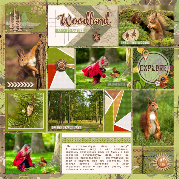 Woodland