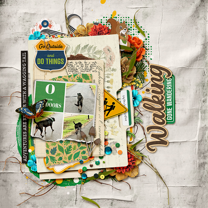 Woodsy Wanderer  LO2