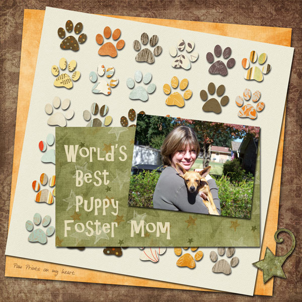 Worlds Best Foster Mom