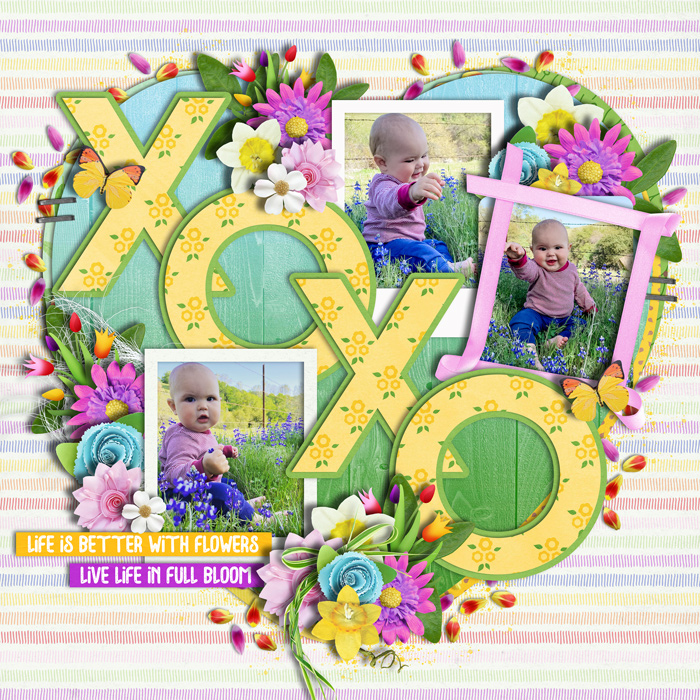 XOXO