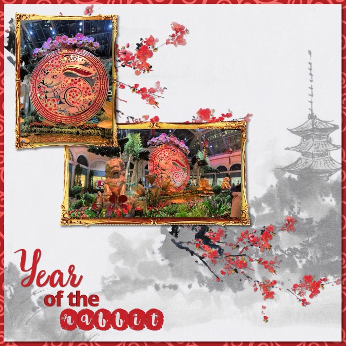 Year of the rabbit 1