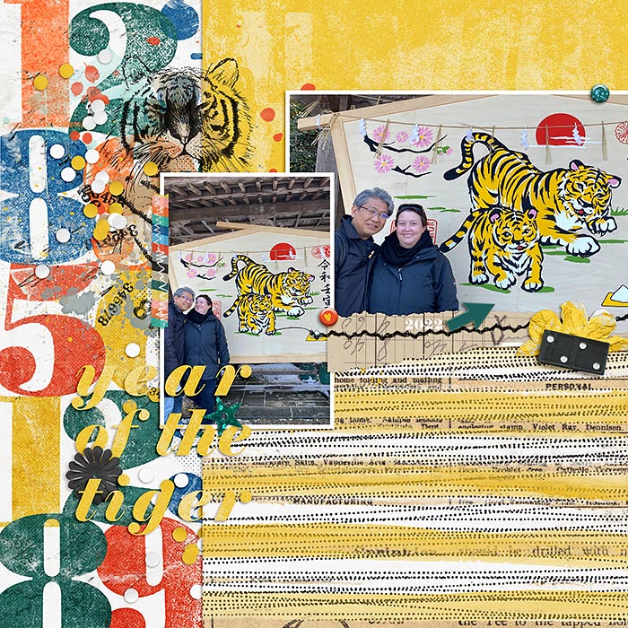 Year Of The Tiger