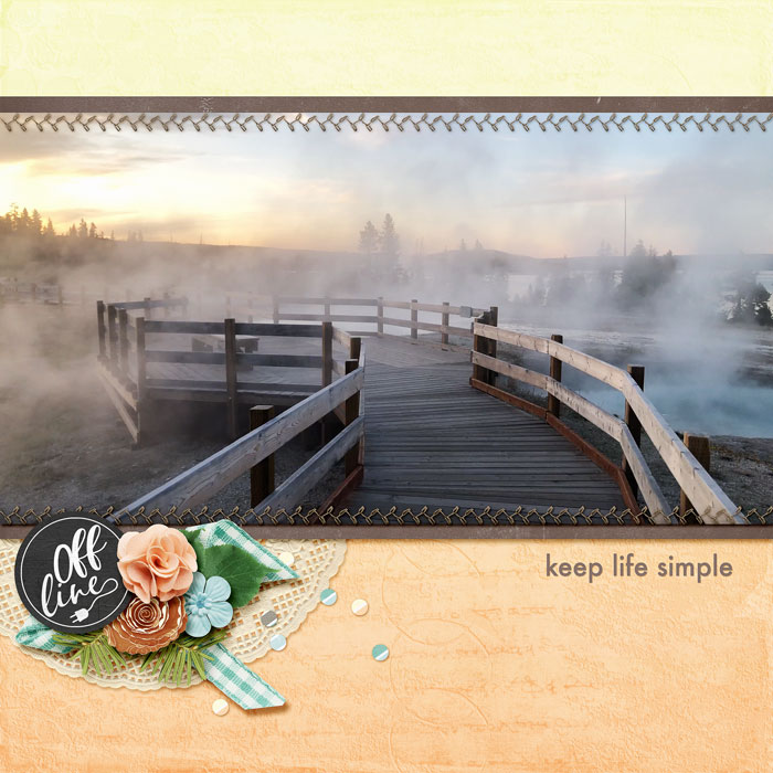 Yellowstone Fog