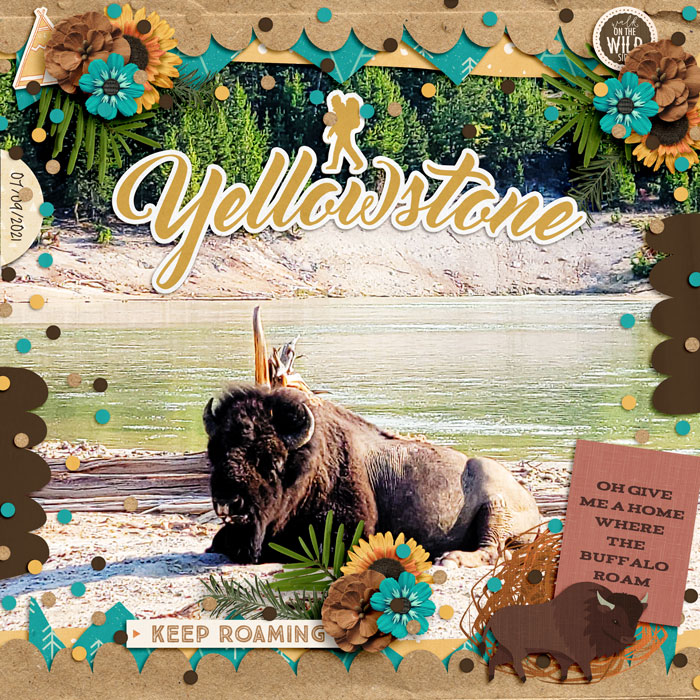 YellowstoneBison21