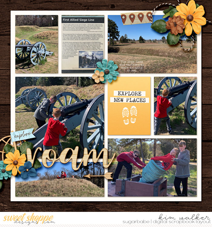 Yorktown-Battlefield-1WM1