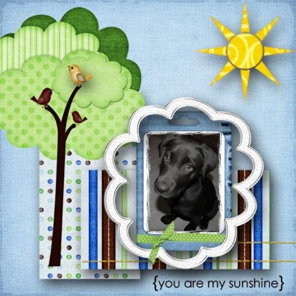 You Are My Sunshine