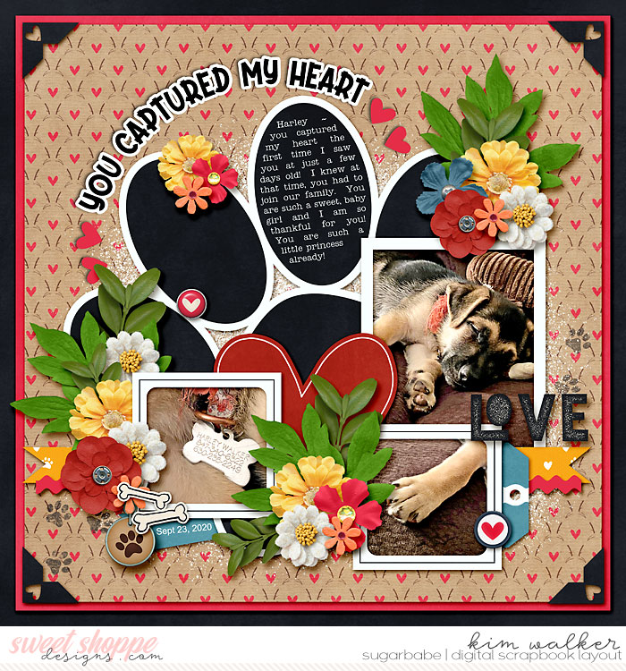 You Captured My Heart