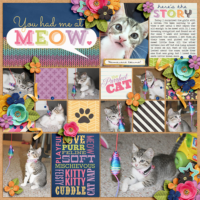 You had me at Meow