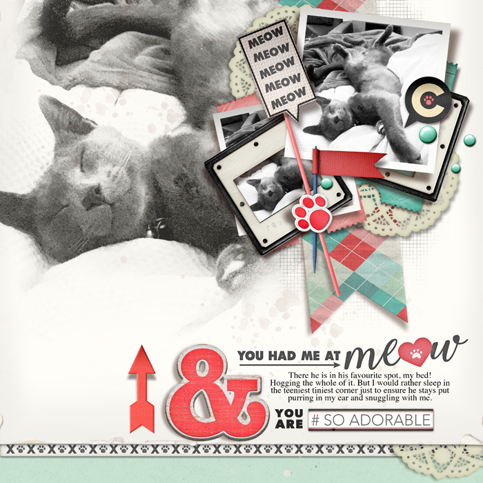 YOU HAD ME AT MEOW