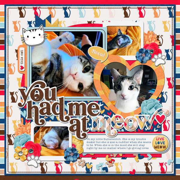 You Had Me At Meow