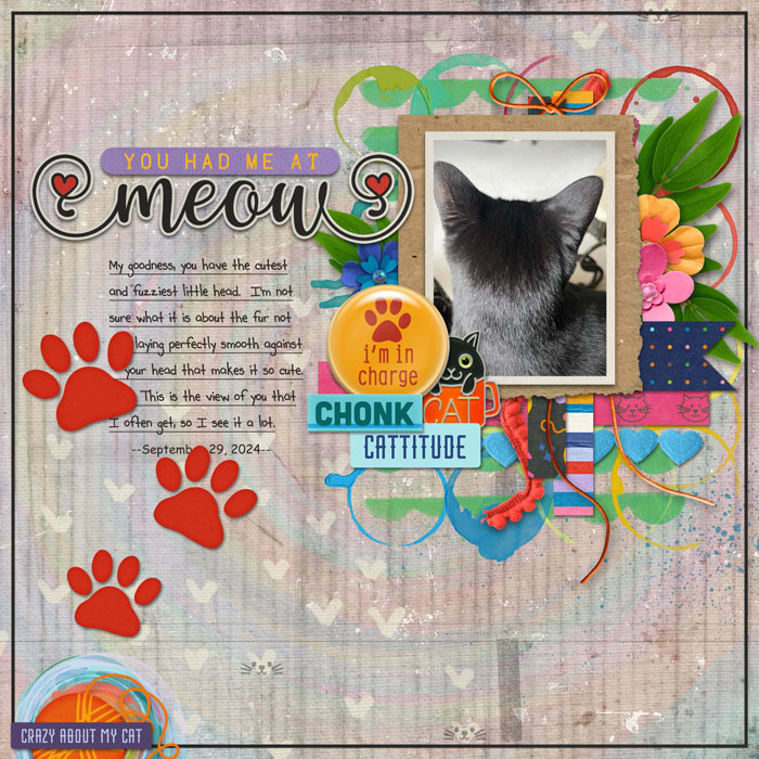 You Had Me At Meow