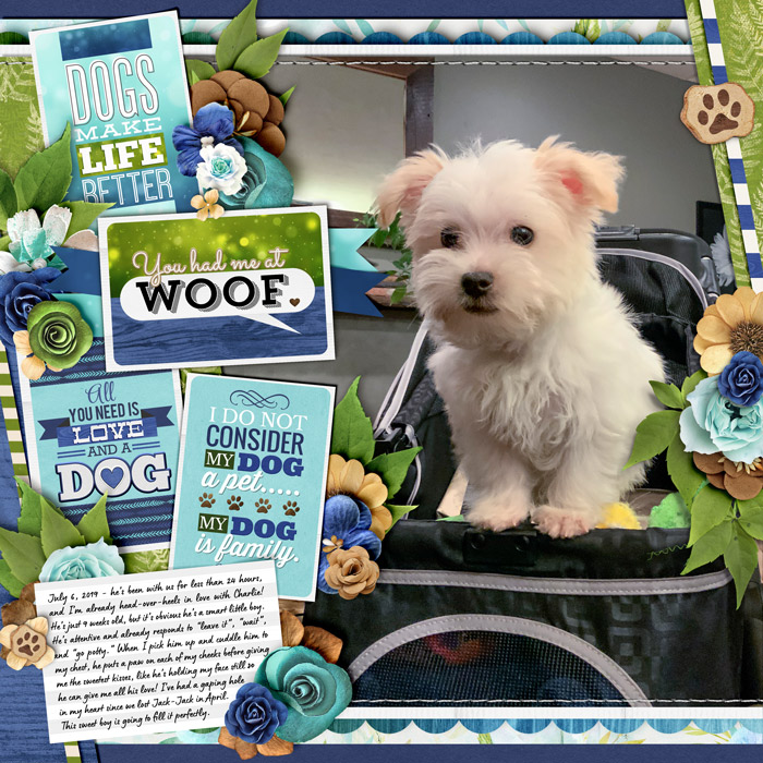 You Had Me At Woof