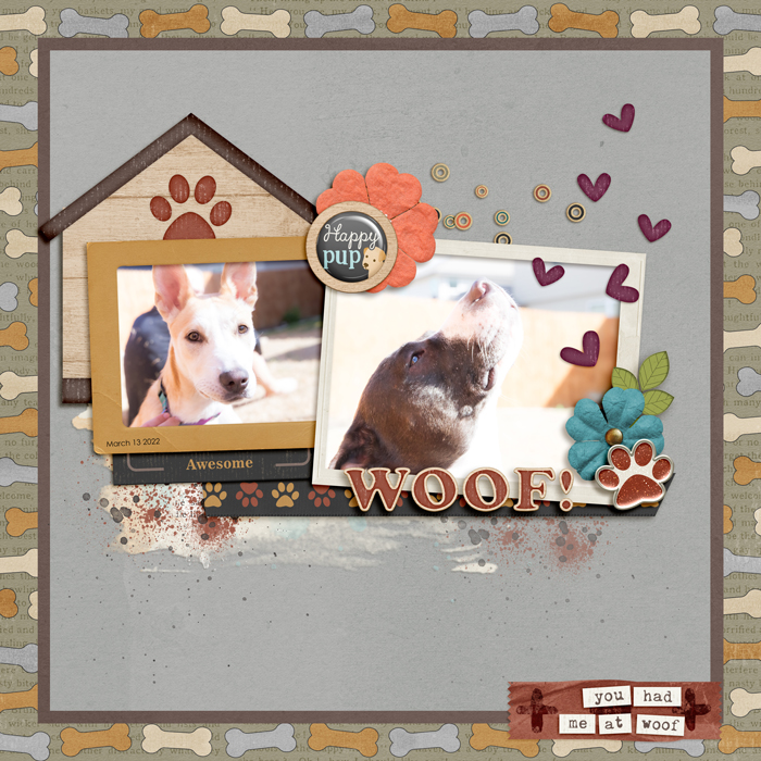 You Had Me at Woof