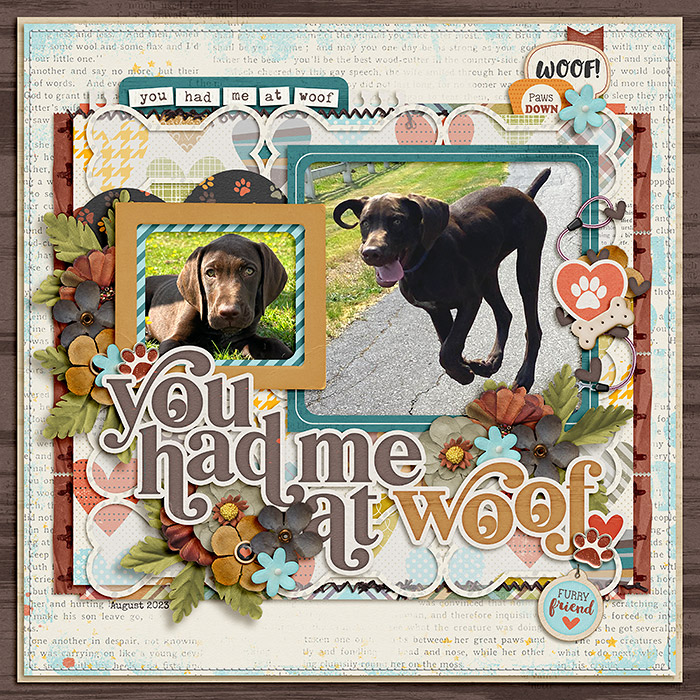 You Had Me at Woof