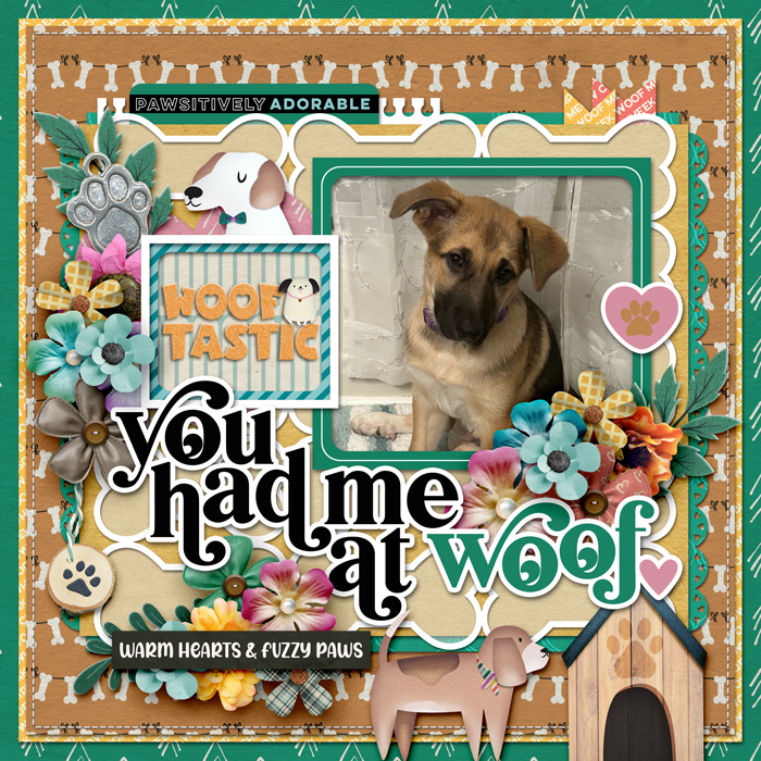 You Had Me at Woof