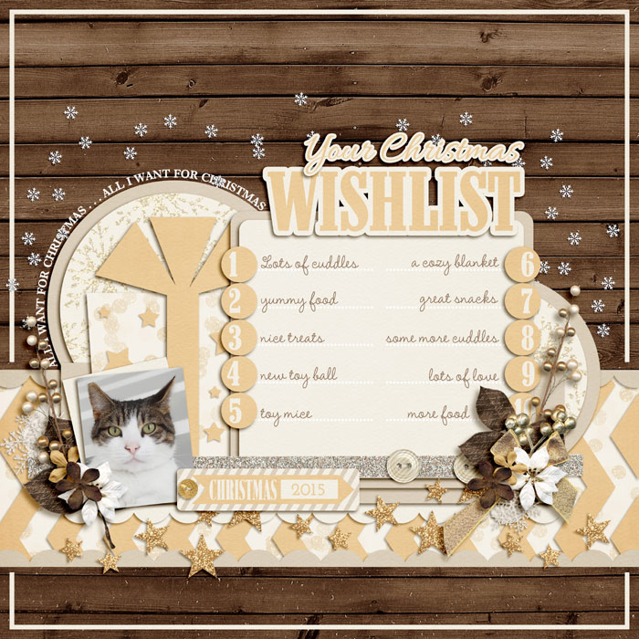 Your Christmas Wishlist